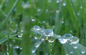 Капельки влаги