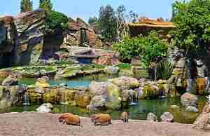 Сказочный Биопарк Валенсия